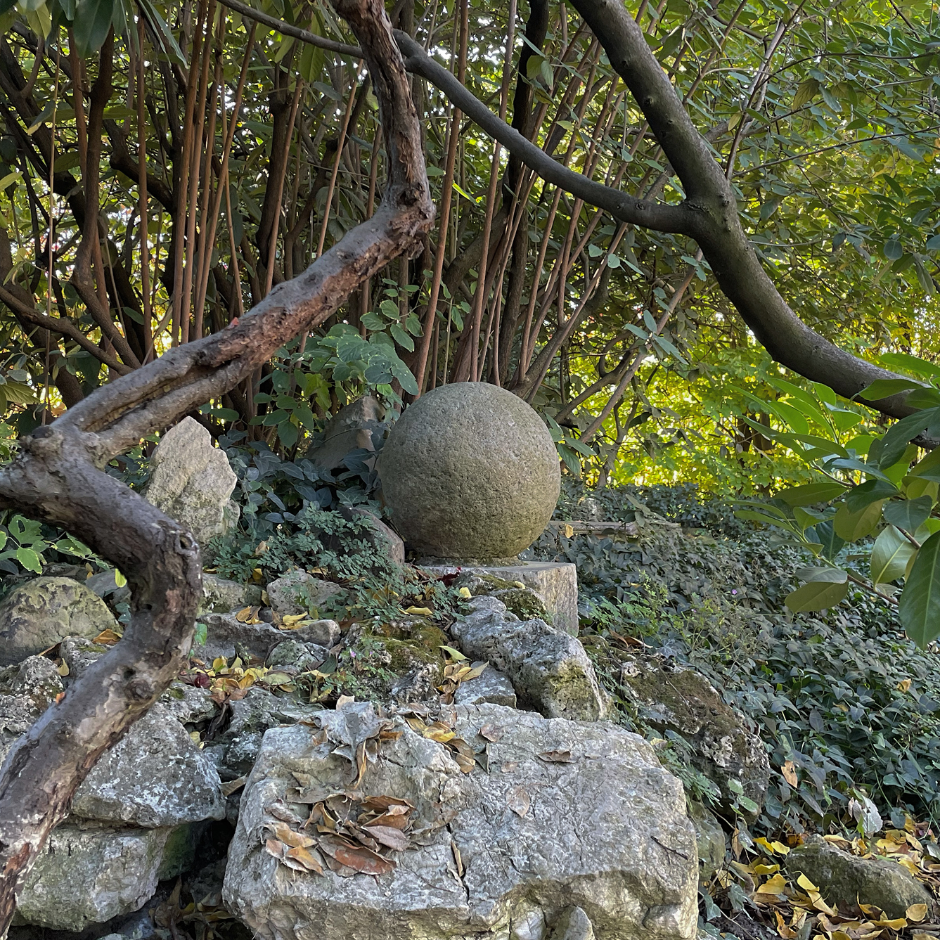 Photography 2
